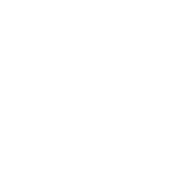 クルーザー 東京 品川発の屋形船 船清